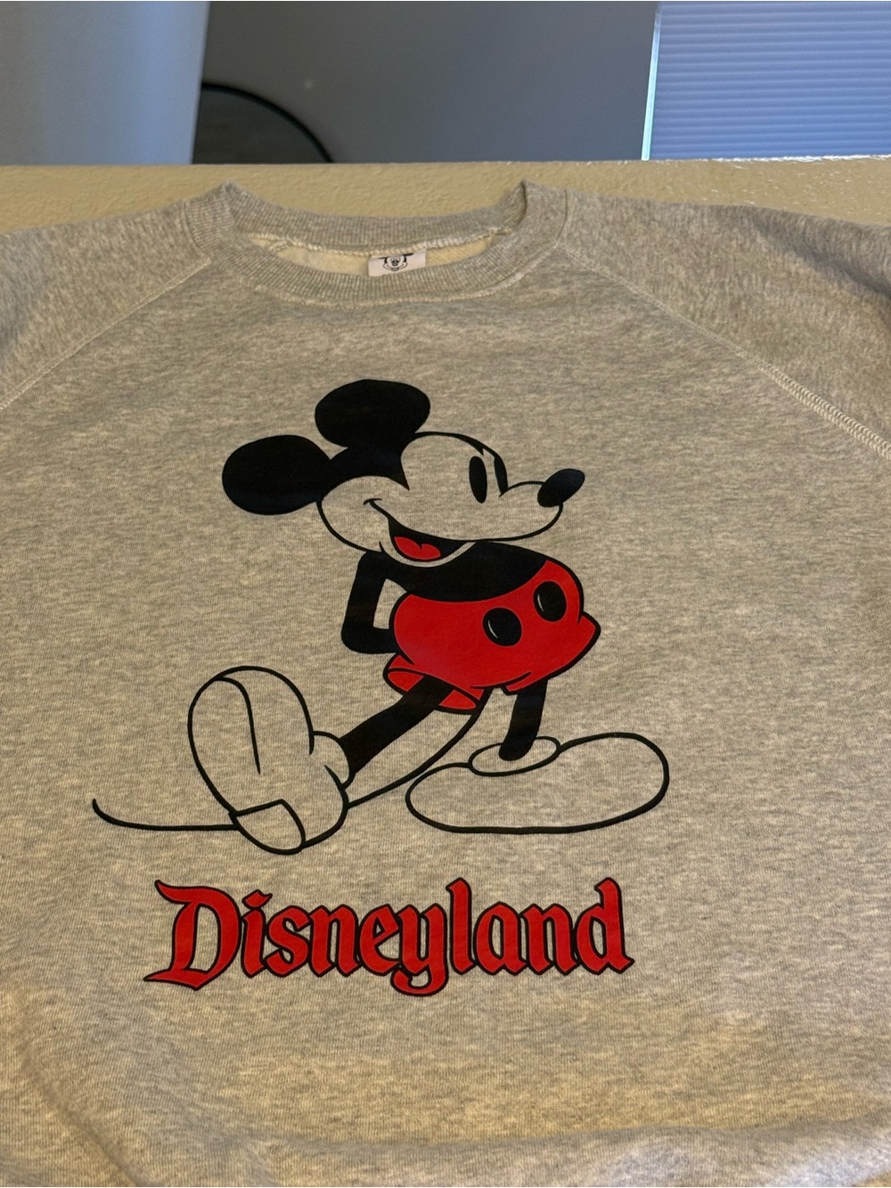 Disney Grey Kids Mickey Mouse 'Disneyland' Graphic Sweatshirt with Red Accent